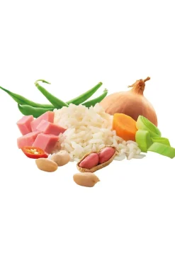 Maaltijd Sate Babi-Adventure Food Outlet