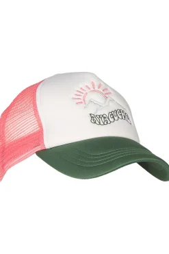 Best Ayacucho Pet Sierra Trucker Sage Leaf Combo