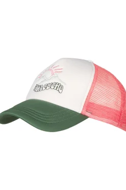 Best Ayacucho Pet Sierra Trucker Sage Leaf Combo