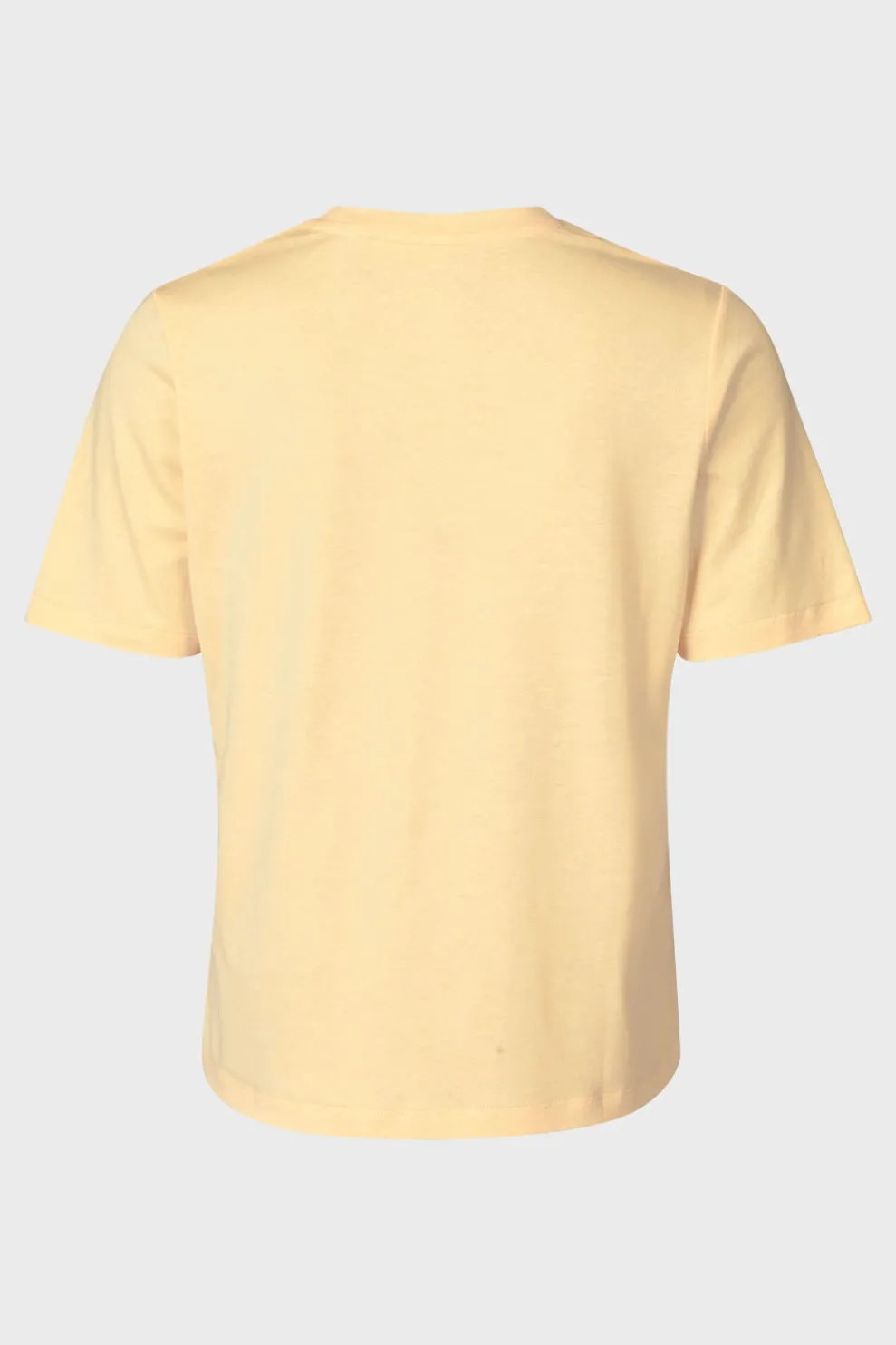 Best Ayacucho T-Shirt Monstro Graphic Tee W Sunburst