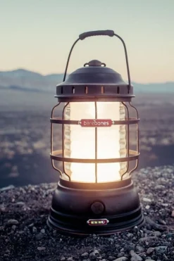 Best Barebones Living Verlichting Forest 1-325 Lumen V1.2 bronze