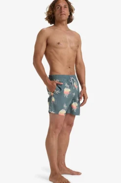 Fashion Billabong Zwemshort Vacay Dark Slate