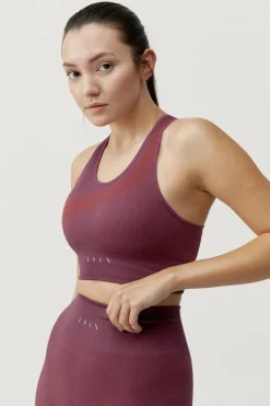 Hot Born Living Sport Bh Aila Beet Plant