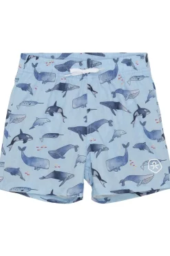 Discount Color Kids Zwemshort Swims Summer Song
