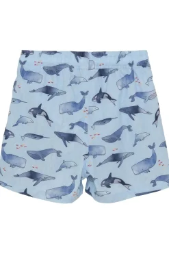 Discount Color Kids Zwemshort Swims Summer Song