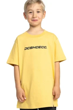 Sale DC Shoes T-Shirt Whereabouts Ss Boy Rattan