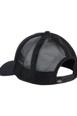 Sale Dickies Pet Hanston Trucker Black