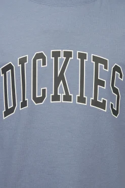 Clearance Dickies T- Aitkin K Country Blue