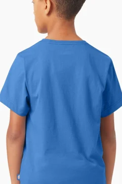 Online Dickies T- Mapleton Country Blue