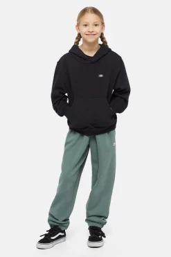 Trui Oakport-Dickies Fashion