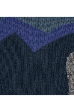 Fashion FALKE Sokken Tk2 Crest Marine