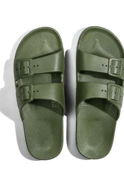 Slipper Cactus-FREEDOM MOSES Sale