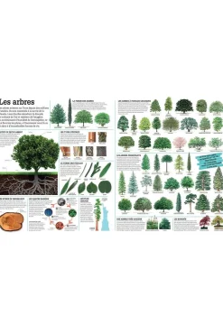 Boek La Grande Ecyclopédie Visuelle-GALLIMARD Discount