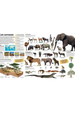 Boek La Grande Ecyclopédie Visuelle-GALLIMARD Discount