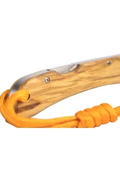 Mes Olly-Homey's New