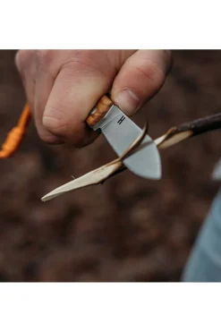 Mes Olly-Homey's New