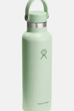 Online Hydro Flask Drinkfles 21 Oz Standard Flex Cap Aloe