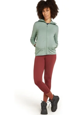 Online icebreaker Fleece Merino 560 Realfleece Elemental Ls Zip Hoodi Moss