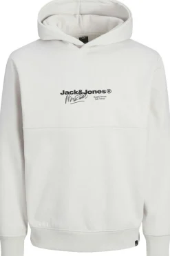 Online Jack & Jones Trui Charlie Print Sweat Moonbeam