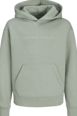 Online Jack & Jones Trui Star Jj Iceberg Green