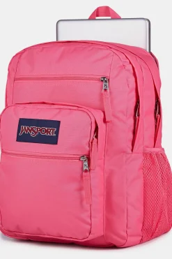 Tourpack Big Student 34 L-JanSport Discount