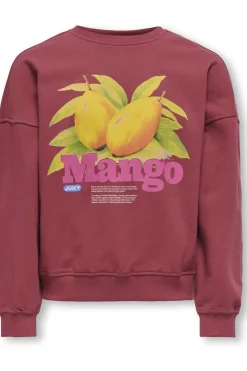 Discount Kids Only Trui Philea L Ovzfruit Ub Earth Red