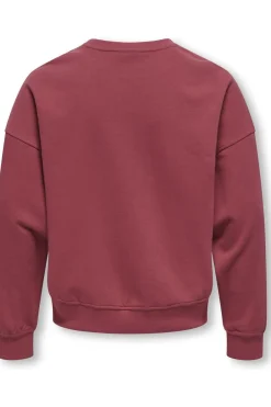 Discount Kids Only Trui Philea L Ovzfruit Ub Earth Red