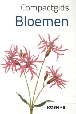 Hot Kosmos Bloemen compact gids 2023