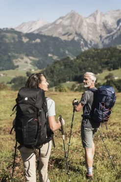 Sale Lafuma Wandelstok Altiplano Pairs Sesame