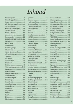 Outlet Lannoo Boek Het Dikke Boek Van Alle Bijzondere Vogels 2025