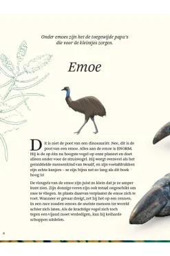 Outlet Lannoo Boek Het Dikke Boek Van Alle Bijzondere Vogels 2025