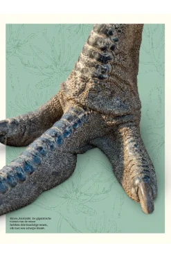 Outlet Lannoo Boek Het Dikke Boek Van Alle Bijzondere Vogels 2025