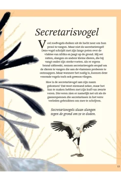 Outlet Lannoo Boek Het Dikke Boek Van Alle Bijzondere Vogels 2025