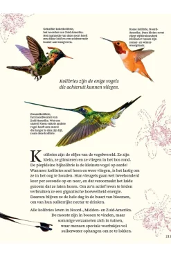 Outlet Lannoo Boek Het Dikke Boek Van Alle Bijzondere Vogels 2025