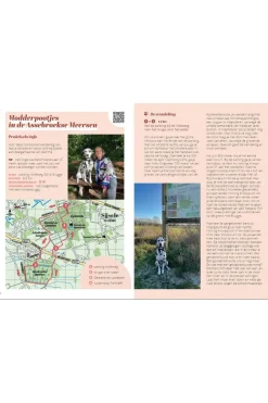 Een weekendje weg met je hond in België-Lannoo Sale