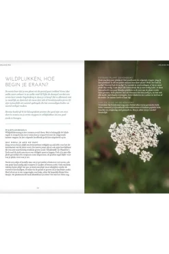 Fashion Lannoo Het wildplukboek 2023