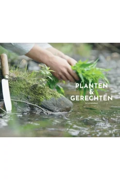 Fashion Lannoo Het wildplukboek 2023