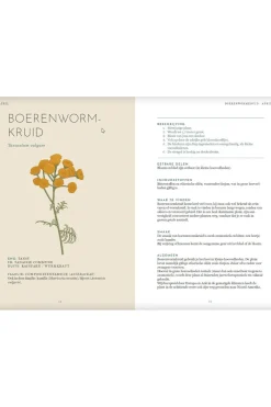 Fashion Lannoo Het wildplukboek 2023