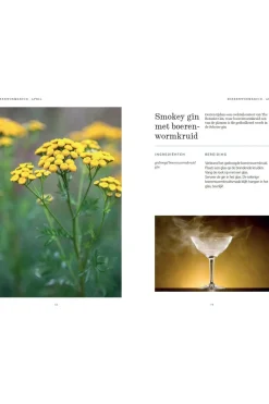 Fashion Lannoo Het wildplukboek 2023