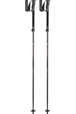 Best Leki Wandelstok Legacy Fx Ta silvergray-bright red-black