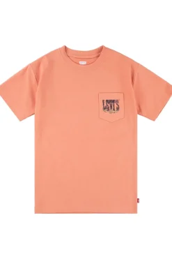 T-Shirt Canyon Landscape-Levi's Kids Online