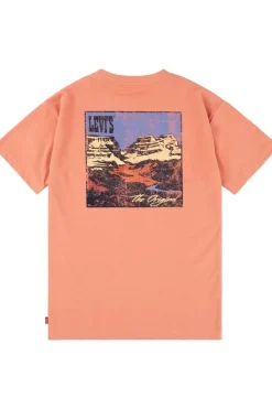 T-Shirt Canyon Landscape-Levi's Kids Online