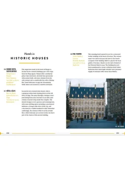 Belgium Hidden-Luster New