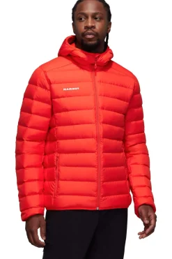 Donsjas Waymarker In Hooded Jacket Men-Mammut Hot