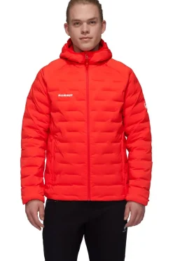 Discount Mammut Jas Sender Ins Hooded Mammut Red