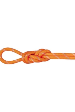 Fashion Mammut Touw 9.5 Alpine Dry Rope 50 Meter Dry Standard, safety orange-zen