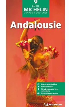 Sale Michelin Andalousie GVF mich 2024