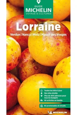 Online Michelin Boek Lorraine Verdun- Nancy- Metz- Massif Vosges Gvf Mich 2025