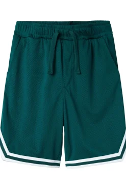 Clearance Name It Short Nkmdimians Forest Biome