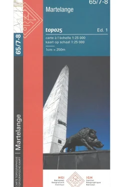 Online NGI Martelange 2020